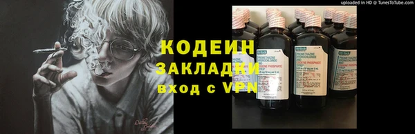 СК Зеленокумск