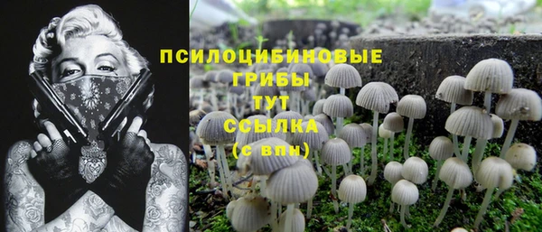 амф Алексеевка