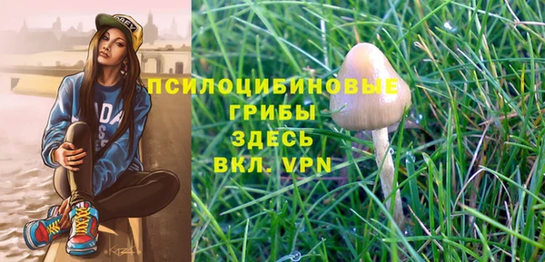 каннабис Алзамай