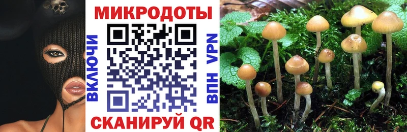 Псилоцибиновые грибы Cubensis  Мураши 